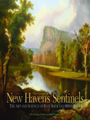 cover image of New Haven's Sentinels